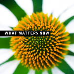 What Matters Now